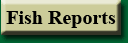 Go To Fish Reports